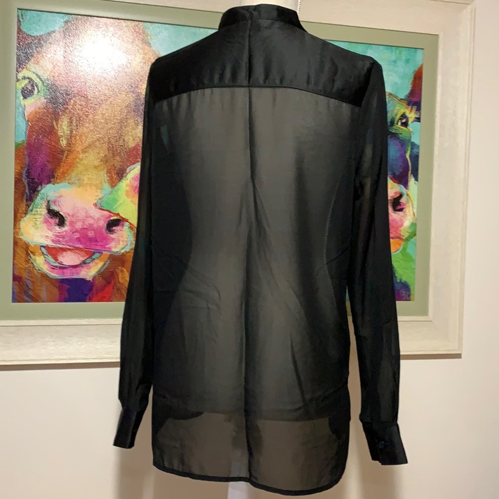 Sheer dress blouse - Picture 5 of 6